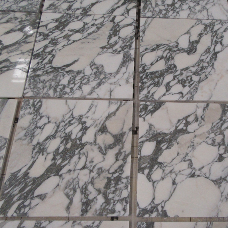 Arabescato Corchia TYG047